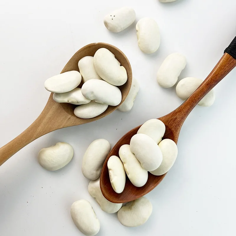 Hot Selling Factory price wholesale white kidney beans