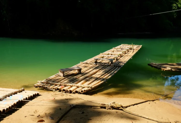 floating rafts bamboo.png