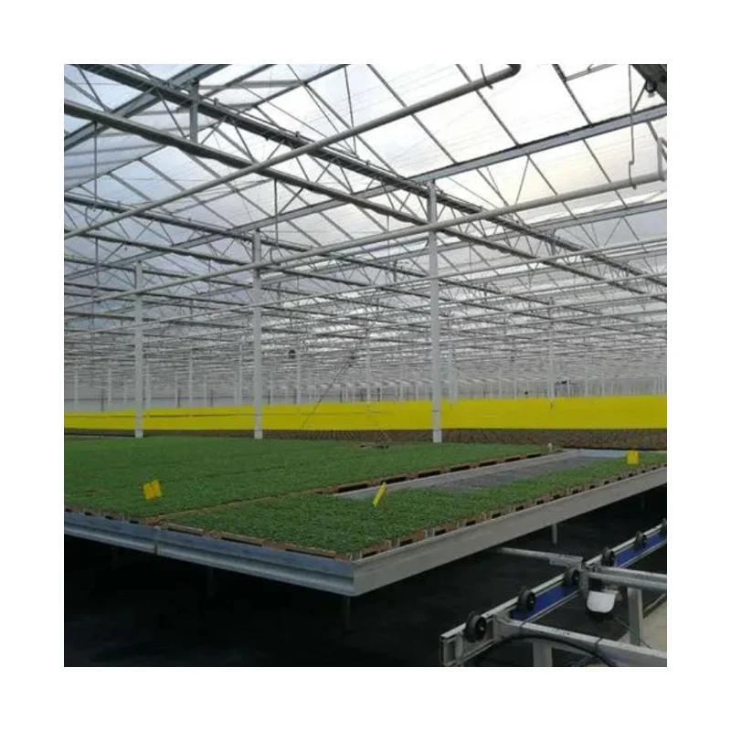 Factory Supply Greenhouse Rolling Benches Flood Tray Hydroponic Ebb and Flow Table For Green House Vegetable