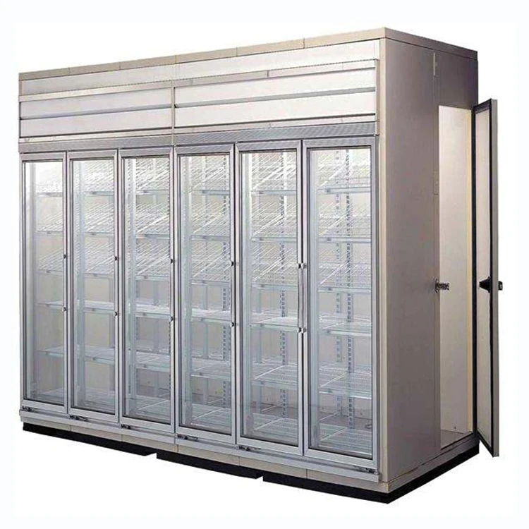 CE mini small mobile cold room for sale glass door display cold room
