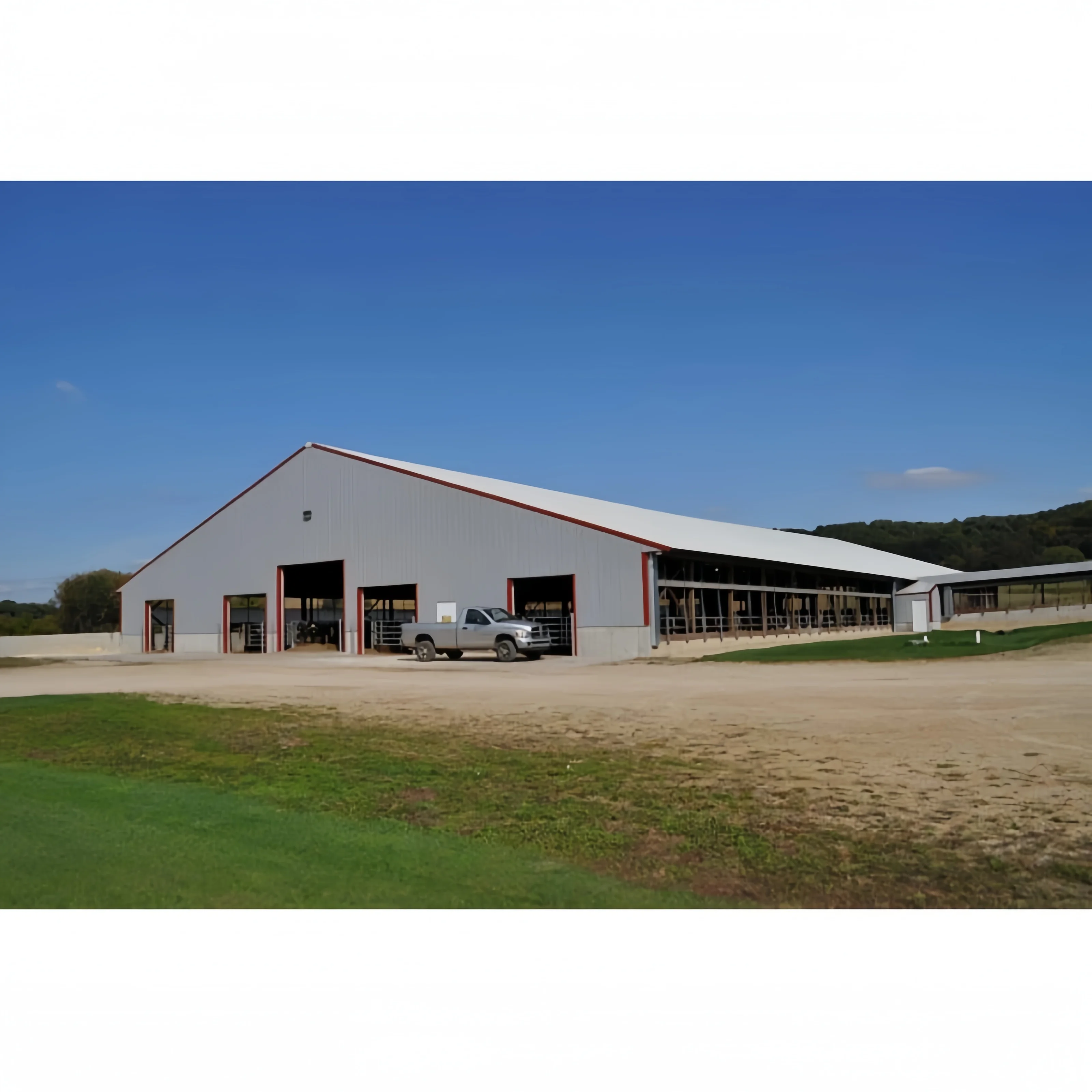 Steel Structure Prefab Farm Building Cow Barn Sheep Construction