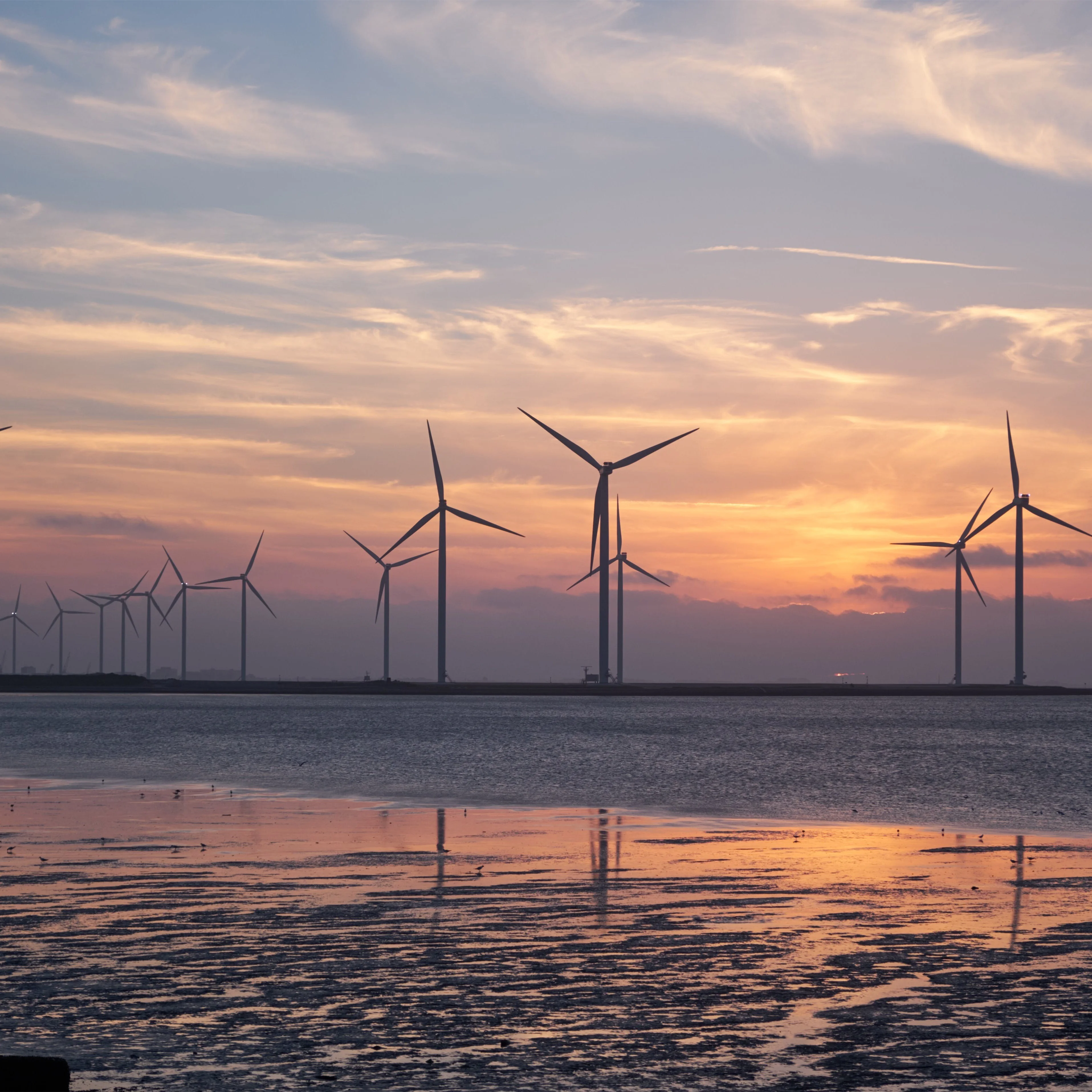 Wind Turbine 2KW 3KW 5KW 10KW On Grid MPPT Solar Hybrid Controllers
