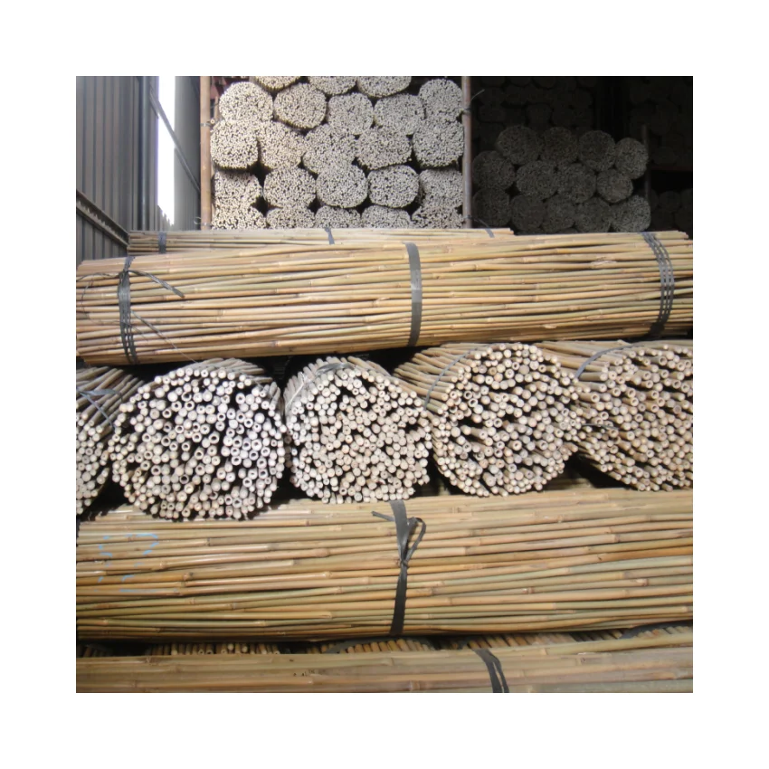 Agriculture/Bamboo Raw Materials/Bamboo pole use for tree nurseries 122CMX10-12MM