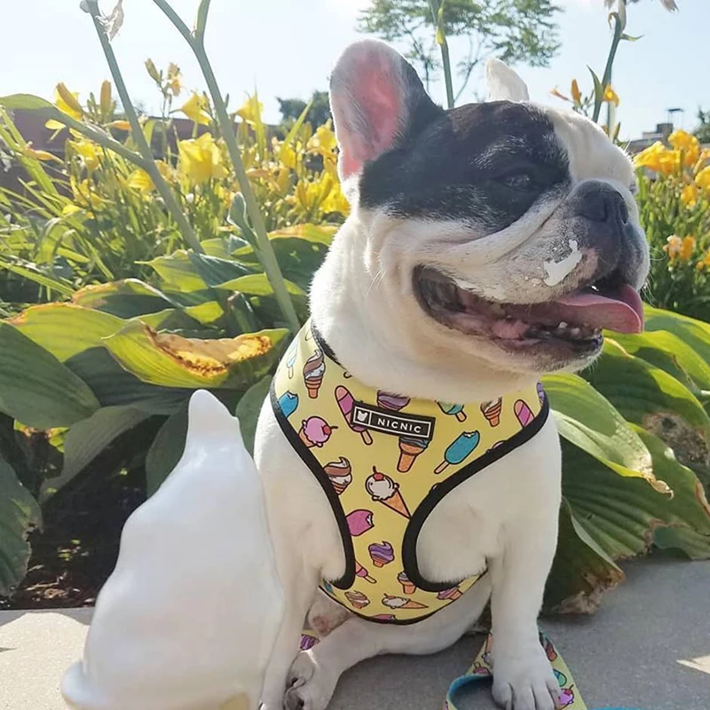 Factory Wholesale Latest Desirable Adjustable Polyester Pet Lovely Dog Harness Leash Set