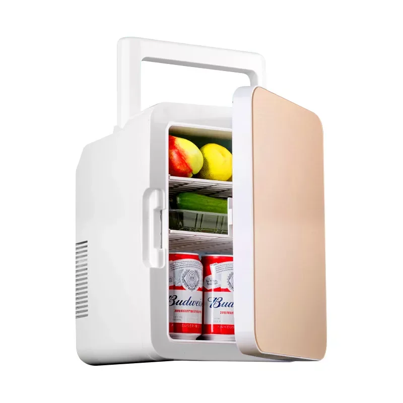 10L Portable  Beauty Fridge Car Home Use Cosmetics Skincare Make up Cooler Mini Refrigerator Skin Care fridge