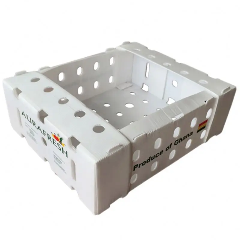 Plastic Corrugated Blueberry Packaging Box