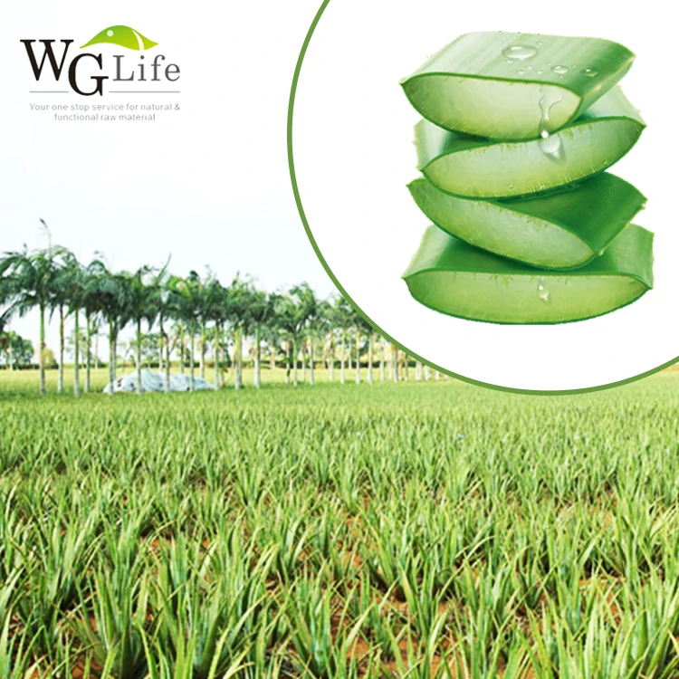 Factory Price OEM Private Label Face Care product Moisturizing Hydrating 100% pure Aloe Vera Gel Soothing Face