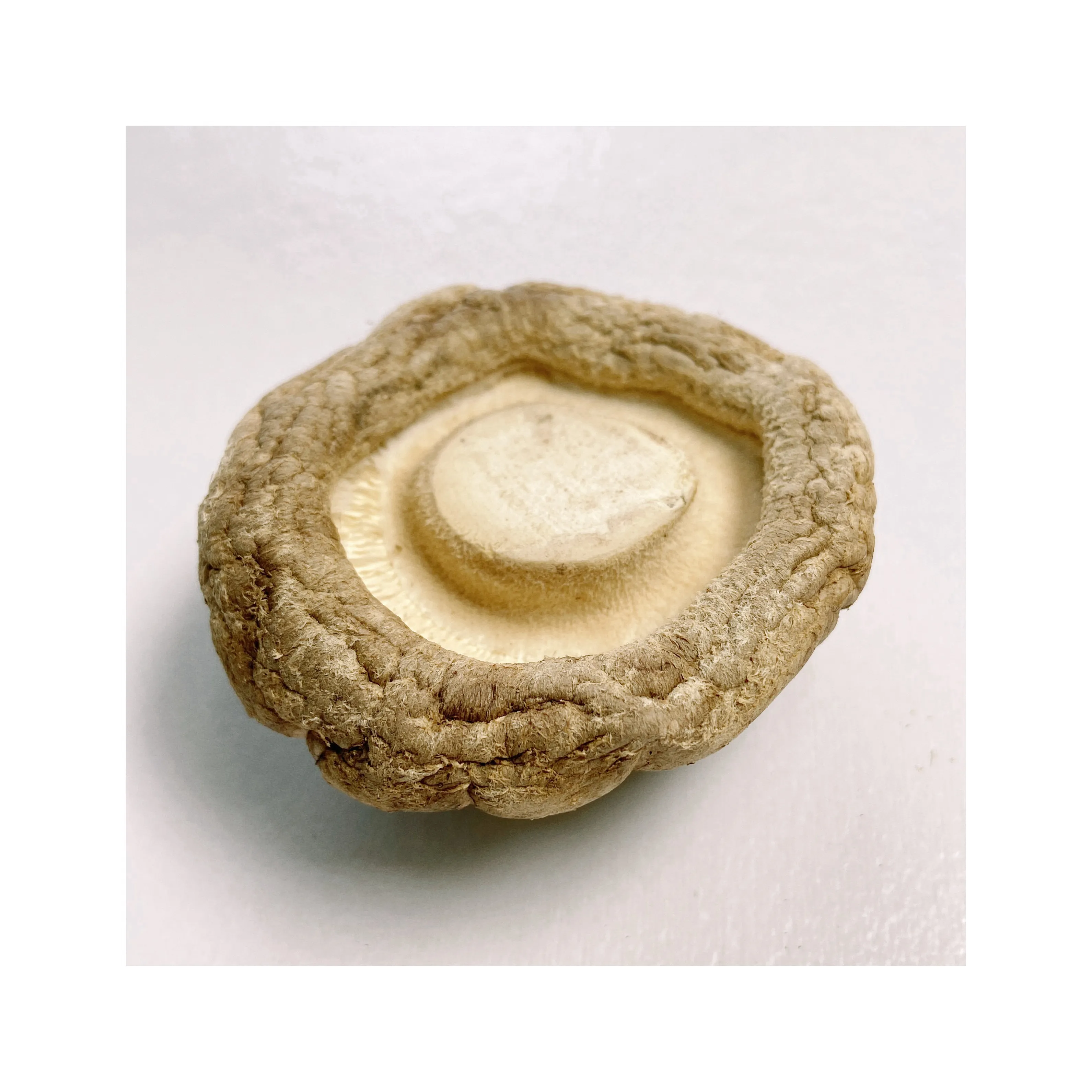 Widely Used Superior Quality Chinese Organic Dried Shiitake Mushroom