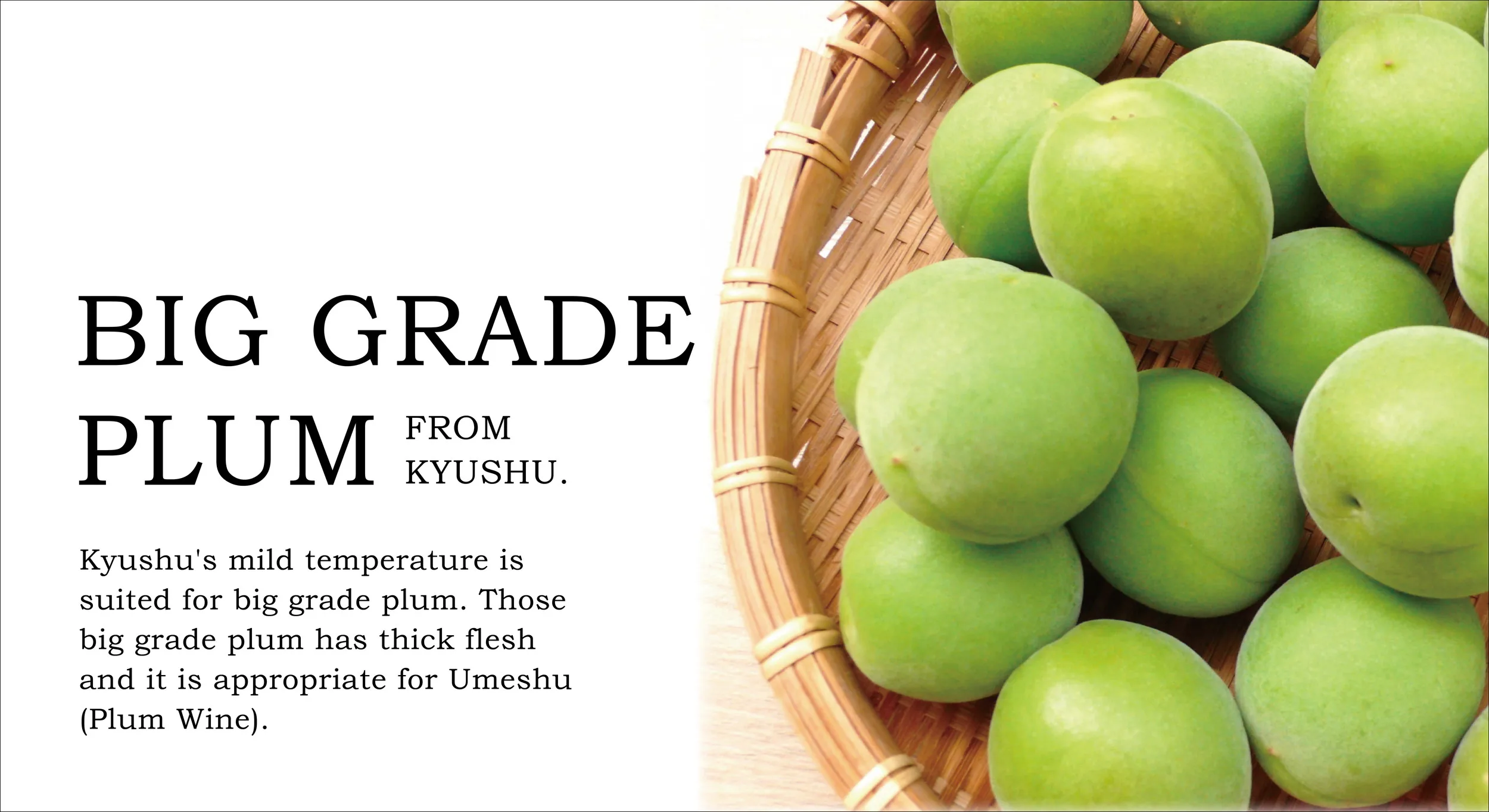 Japanese fruity aroma plum wine alcoholic beverage wholesale