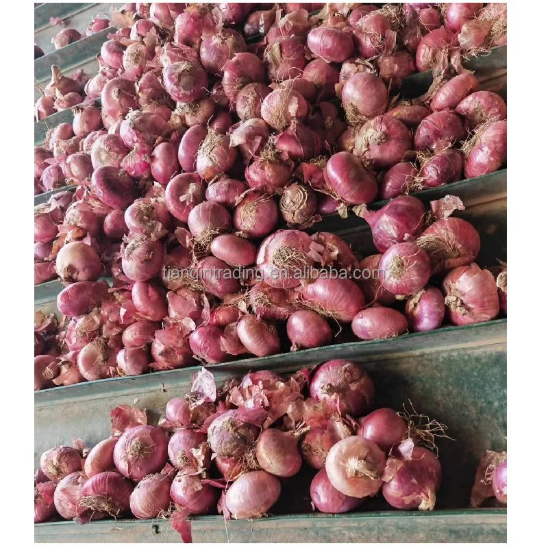 Red Onion price
