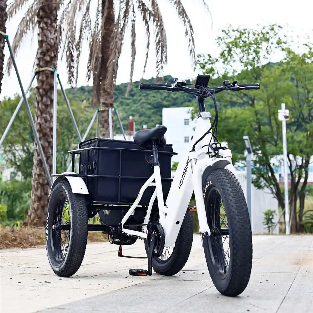 Tricycle electric 3 wheel electric tricycle motorcycle 500w 3 wheels electric bike with roof electric tricycle for sale