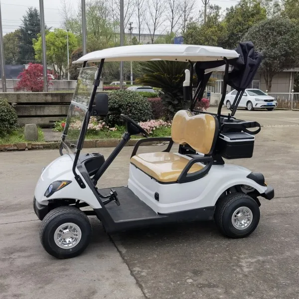 4 wheel 2 seats mini ezgo gasoline golf cart made in China