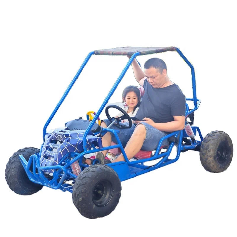 LNA good for rental 800w adult electric buggy