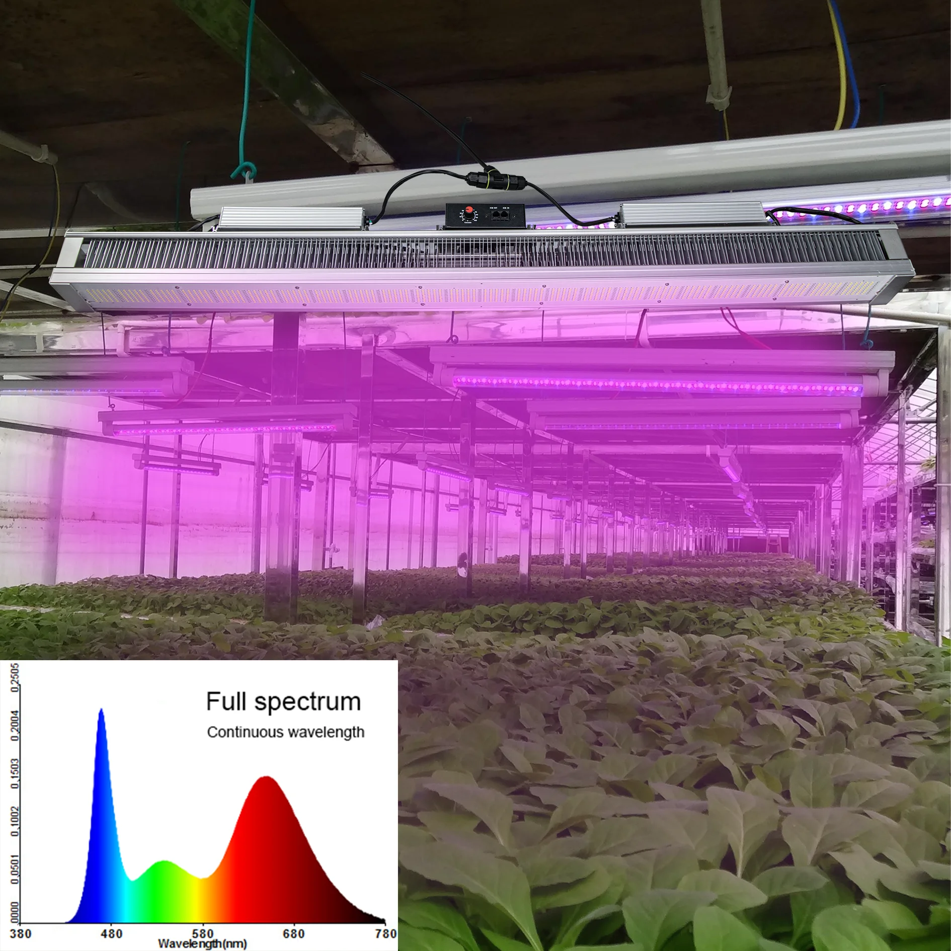 Commercial Strawberry Plant Light Succulent Venus flytrap Cultivation Growth Light vertical farming grow light
