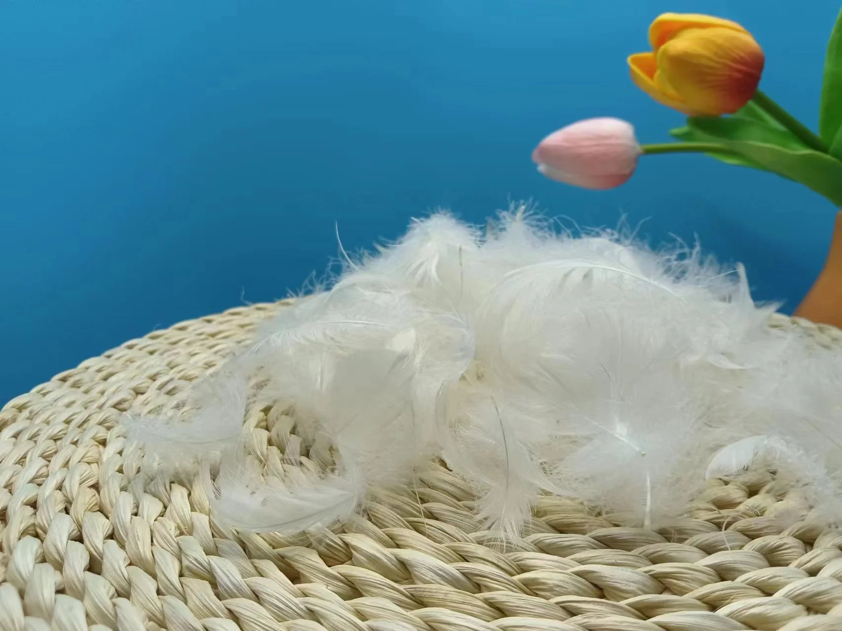 2-4 см белые гусиные перья вымытые изделия для рукоделия