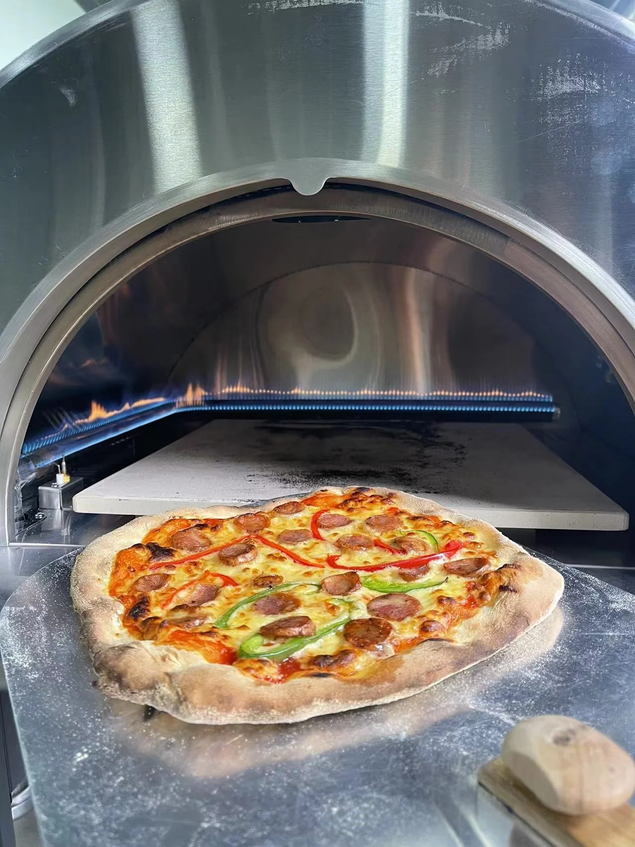 Hot selling wood fired pizza oven All stainless steel Gas pizza oven outdoor