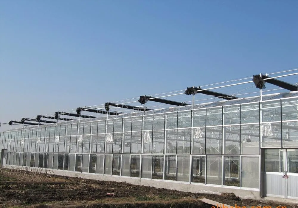FUMA Low Cost Multi-span Agriculture Commercial Heating System Glass Greenhouse For Sale