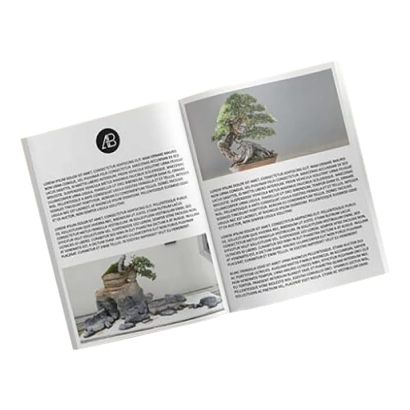 Free Samples Cheap Cost Full Color Customized Modern Living Magazine Printing Company