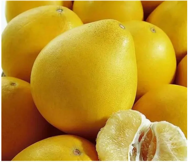 Fresh pomelo new harvest delicious fruits grapefruit for export from China good quality pomelo