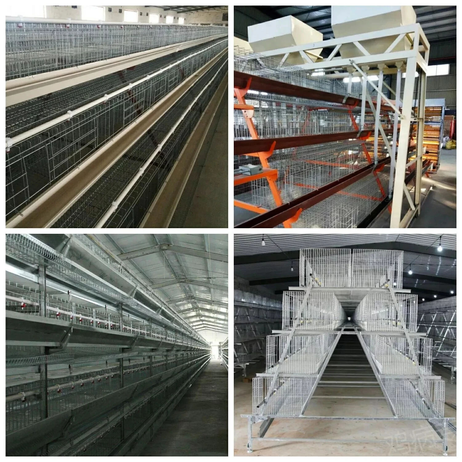 Автоматический Аккумуляторный слой типа А, куриная ферма, куриная птица, куриная клетка