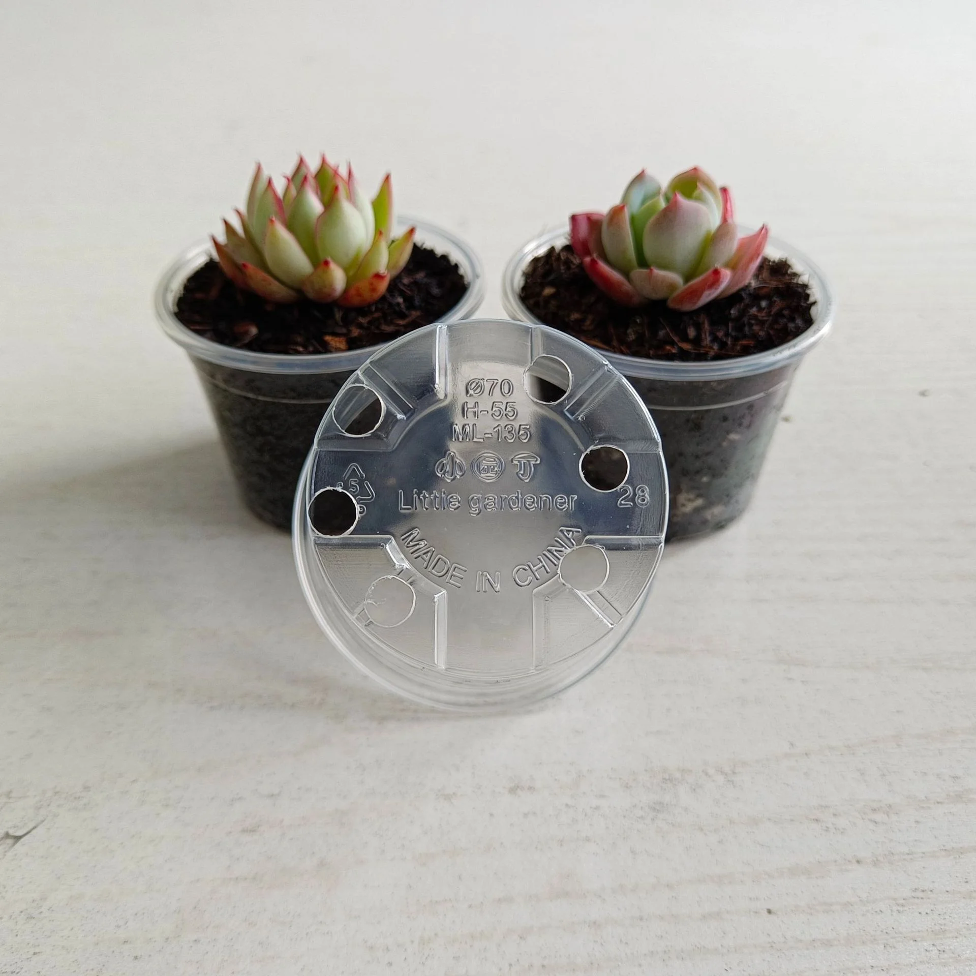 Clear Nursery Pots with Drainage Holes Plant Pot for Planting Transparent Plastic Seed Starting Pot for Succulents