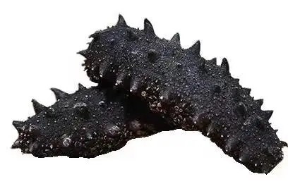 Высушенные и замороженные морские