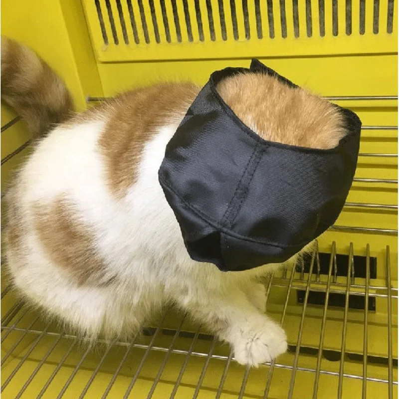 Cat eye mask cat bath cleaning nail  surgery soothing mood eye mask spot M