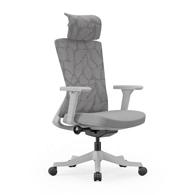 Ergohuman Modern Design Ergonomic Office Chair Full Mesh with Swivel Wire Control White Shell Grey Mesh Executive Home Use