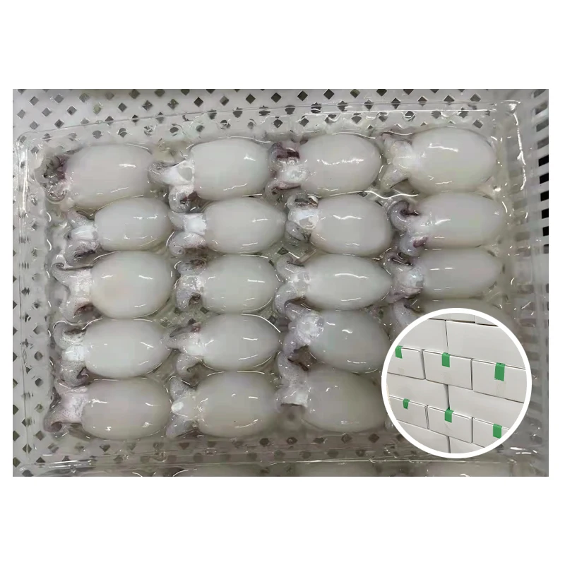 Latest Products Processing Cleaned Sepia Bulk Whole Frozen Cuttlefish