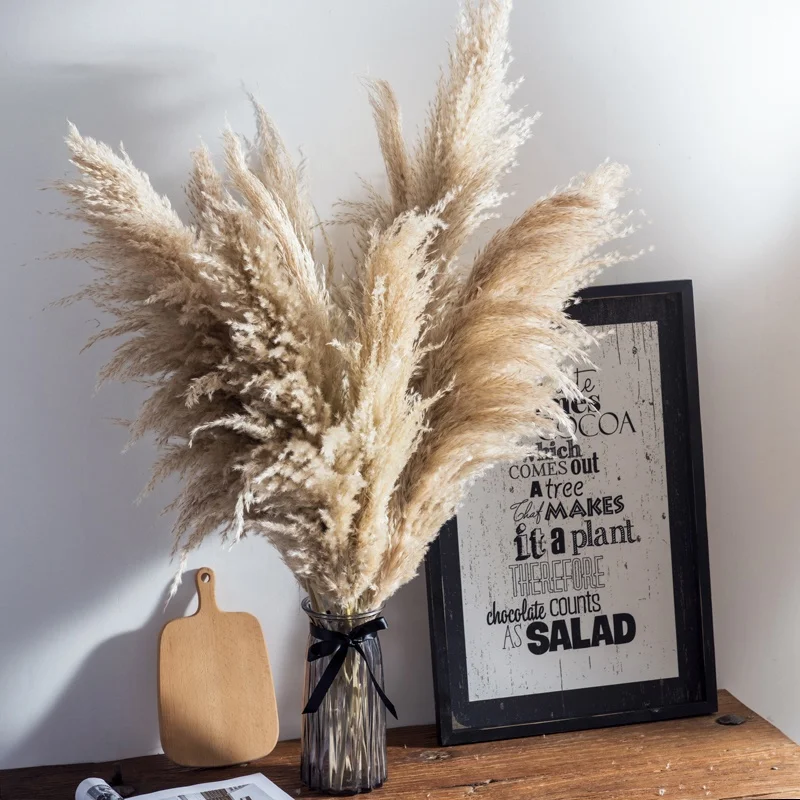 Amazon Hot Selling DriedNatural Flowers 120cm Long Beige Brown Large Pampas Grass for Wedding Home Decoration