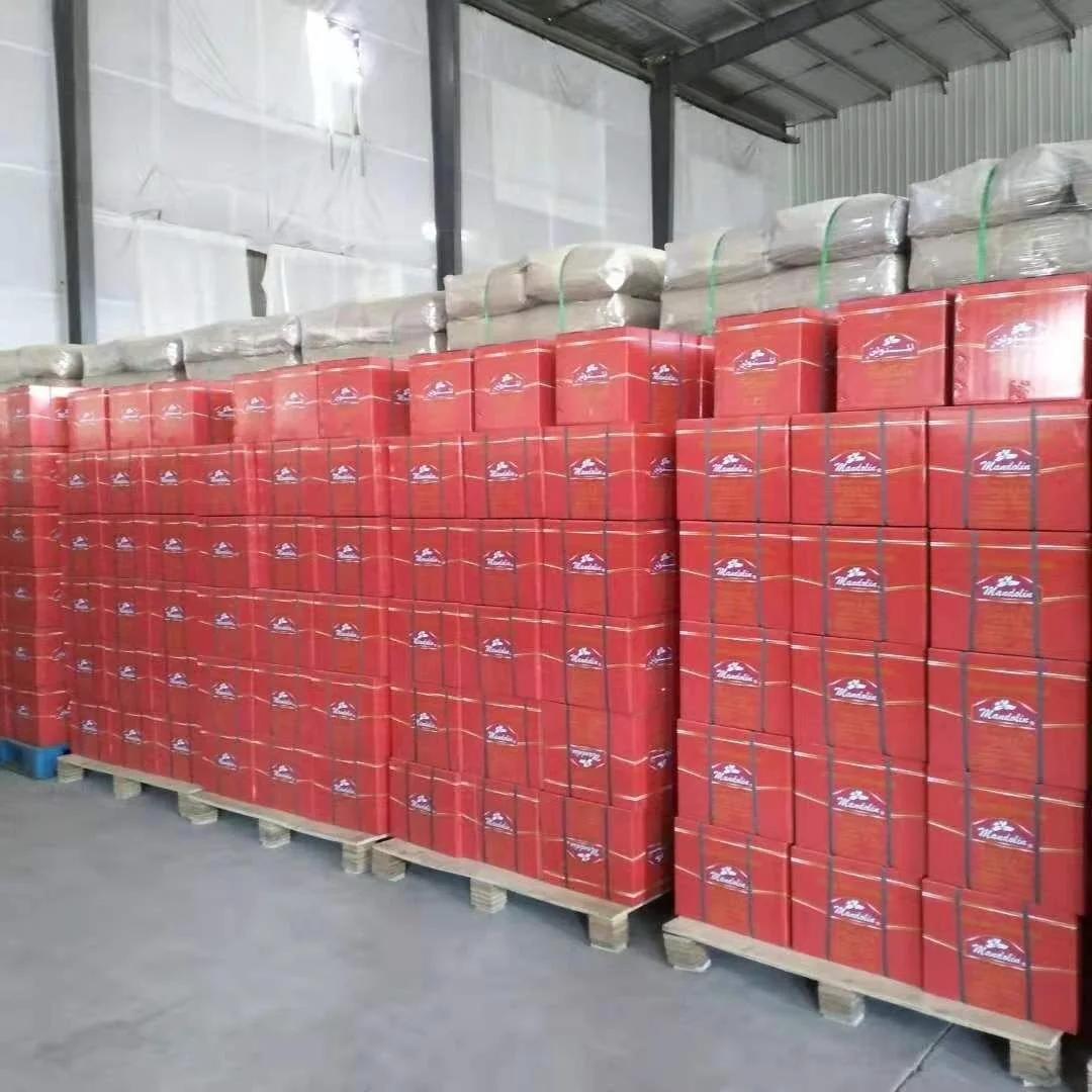 Chinese Famous Tea Oolong Tea Loose Leaf Tea From Wuyi Mountain Da Hong Pao in bulk