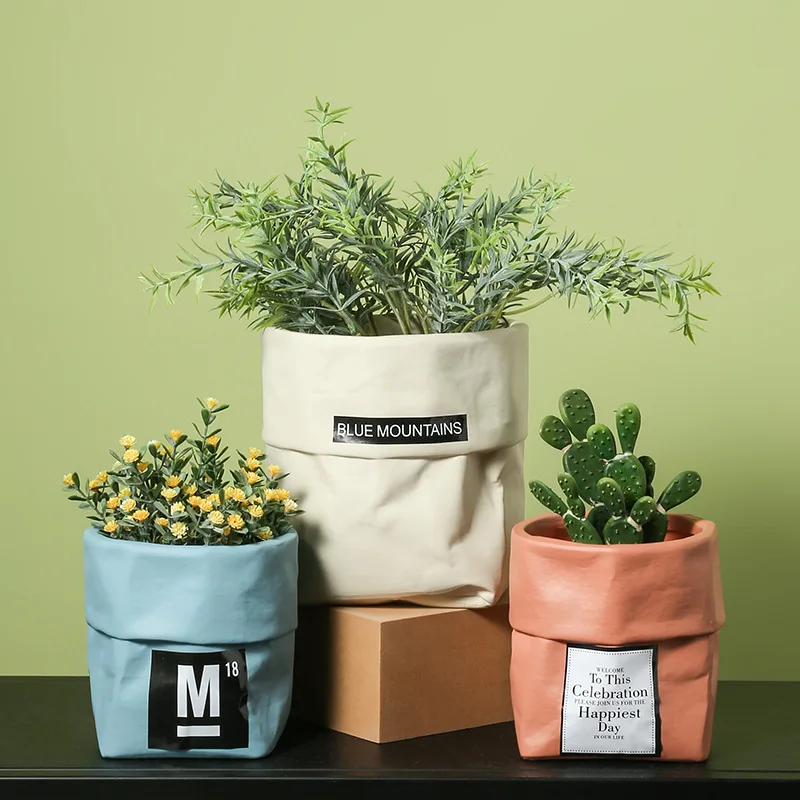 Цветочный горшок с зеленым растением