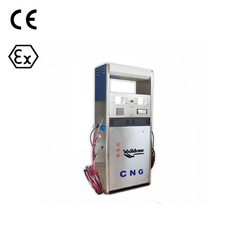 Диспенсер CNG с одним соплом насос Carrolis массовый расходомер внутри