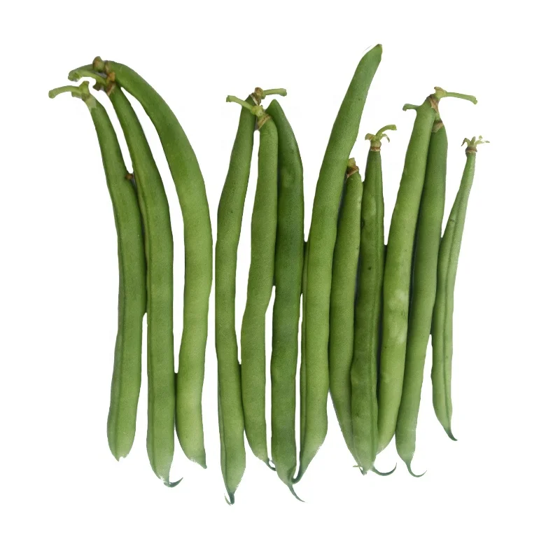 Fl High Nutritional Value Bean French Dwarf Edible Vegetables Seeds