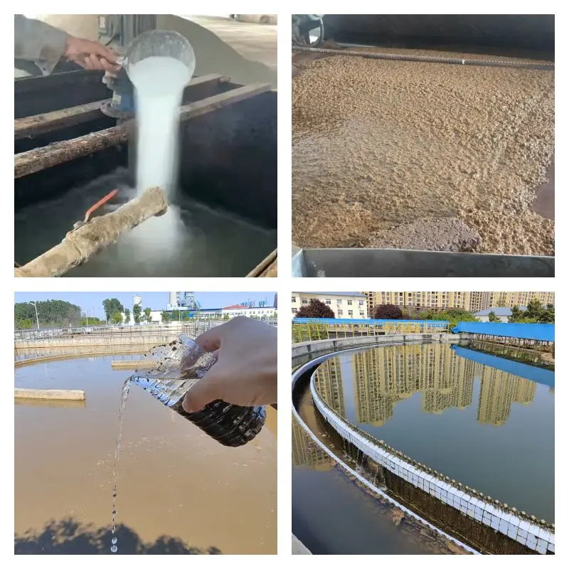Sludge dewatering cas no-9003-05-8 Cationic Polyacrylamide Flocculant Cation Polymer for Kitchen /Resterant wastewater