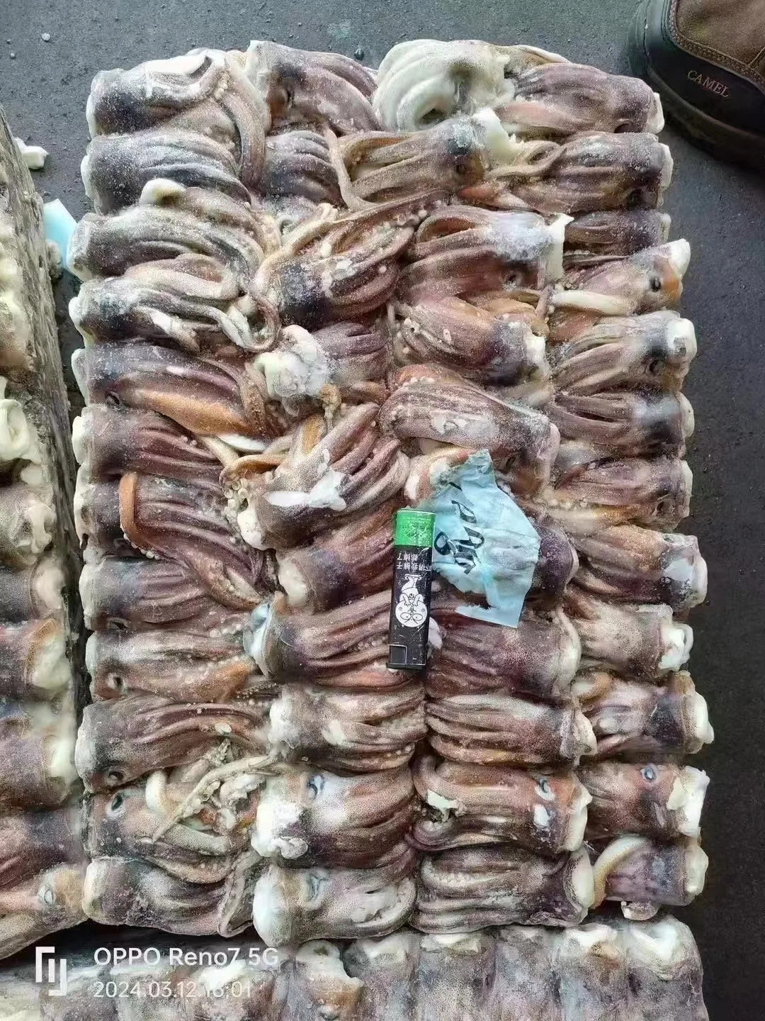 From Taiwan Wholesale Raw Meat Processing Calamari Tentacles Material Argentina Frozen Illex Squid Head