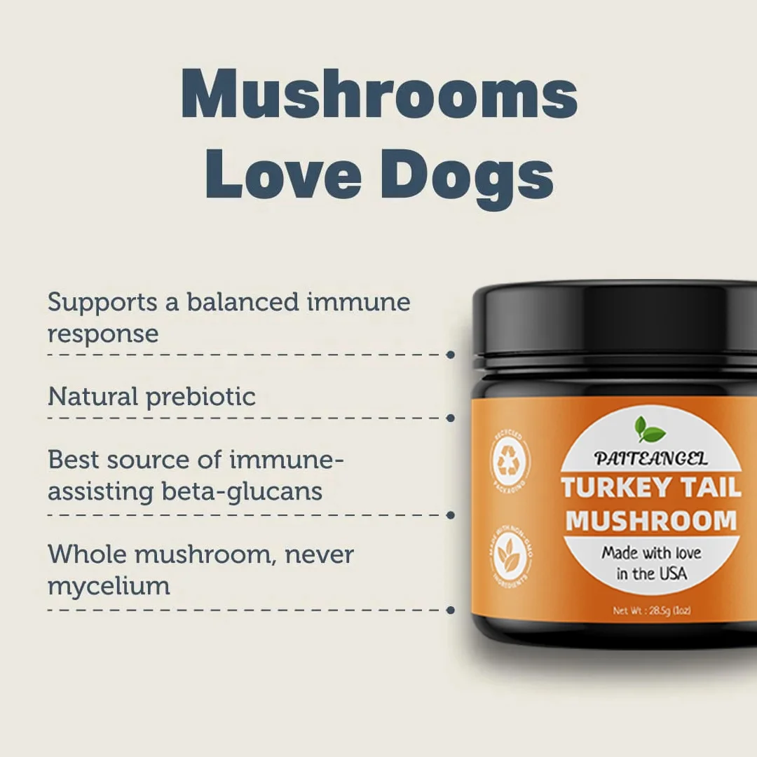 Vet Formulated Rich in Beta-Glucans Turkey Tail Mushroom Extract  Dogs Critical Immune Support Prebiotic Powder