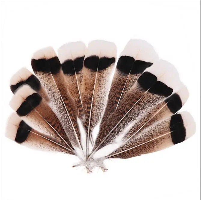 10-12inch Turkey Tail Feather Wholesale Feather Suppliers Natural pheasant feather