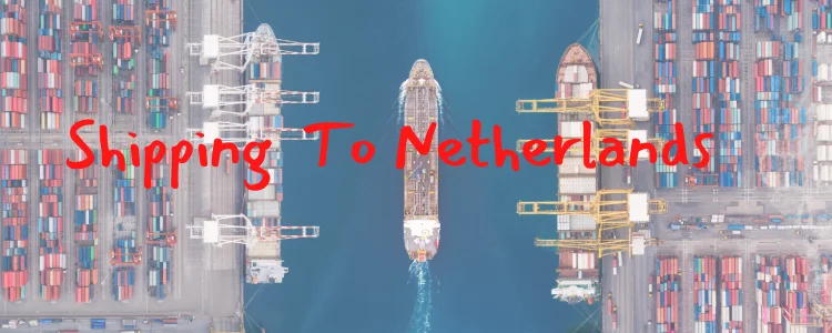 Sea Freight Forwarder cargo shipping Guangzhou Shenzhen Yiwu Qingdao Nanjing logistics services provider china to Netherlands