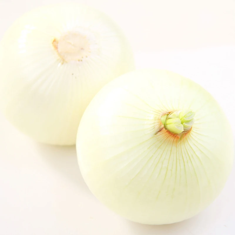 Indian Fresh Onion with High Quality and Best Price For Wholesale Stock Available for Export 2024 new crop