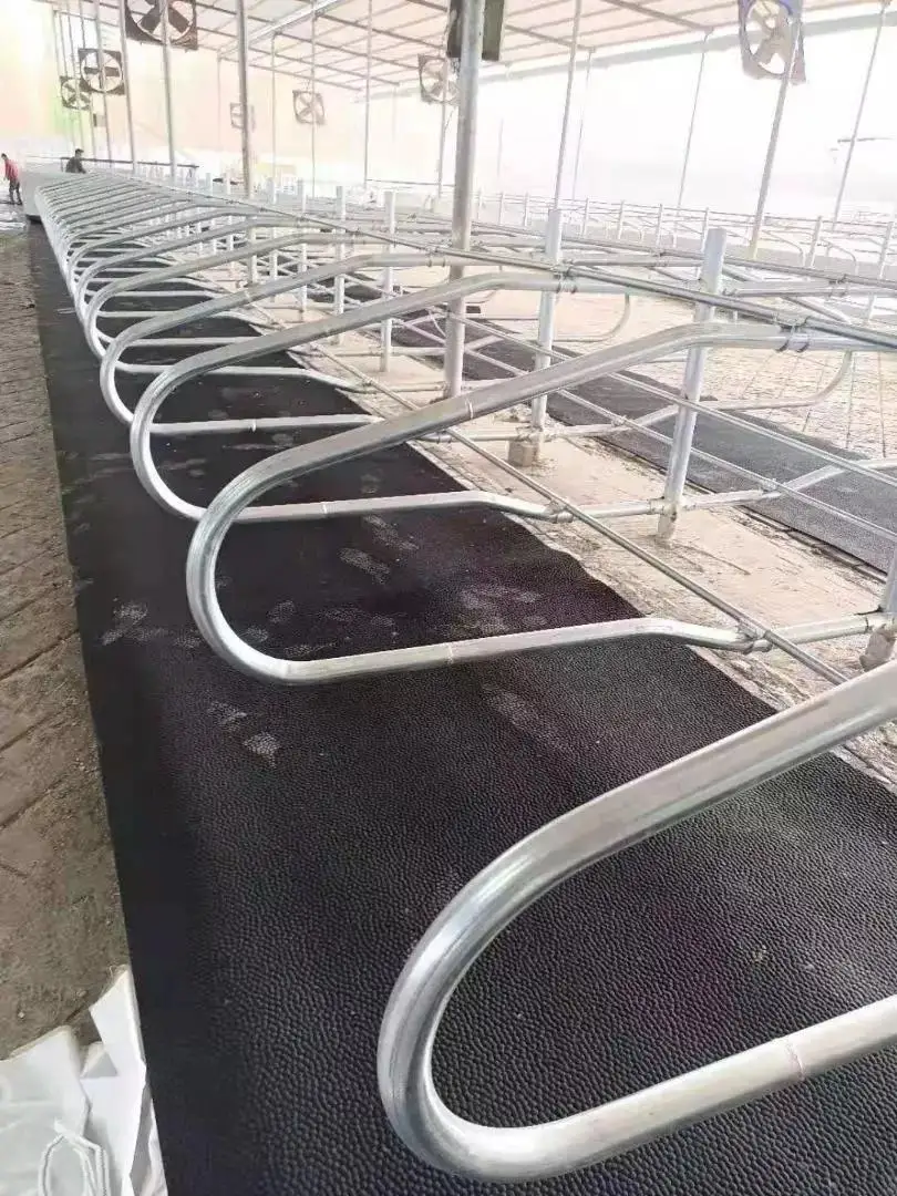 Резиновые покрытия для КРС