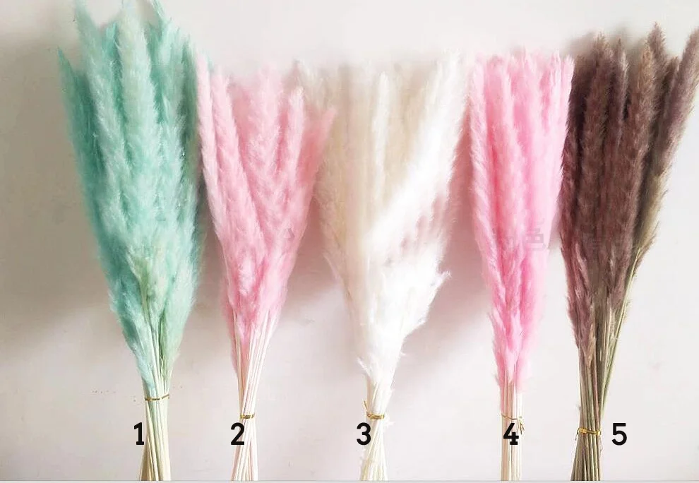 
Wholesale 100% natural Yunnan dried pampas grass decorative flowers 