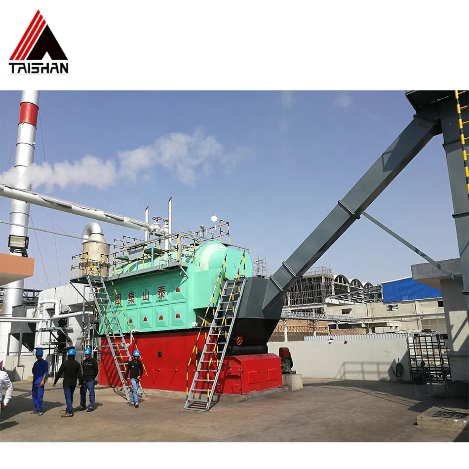 
DZL coal-fired steam boiler power plant used for drinks industry 