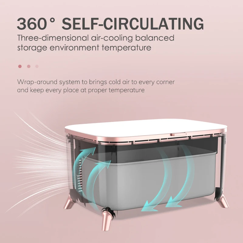 Wholesale 6 Litre Mini Skin Care Fridge Makeup Fridge Refrigerator