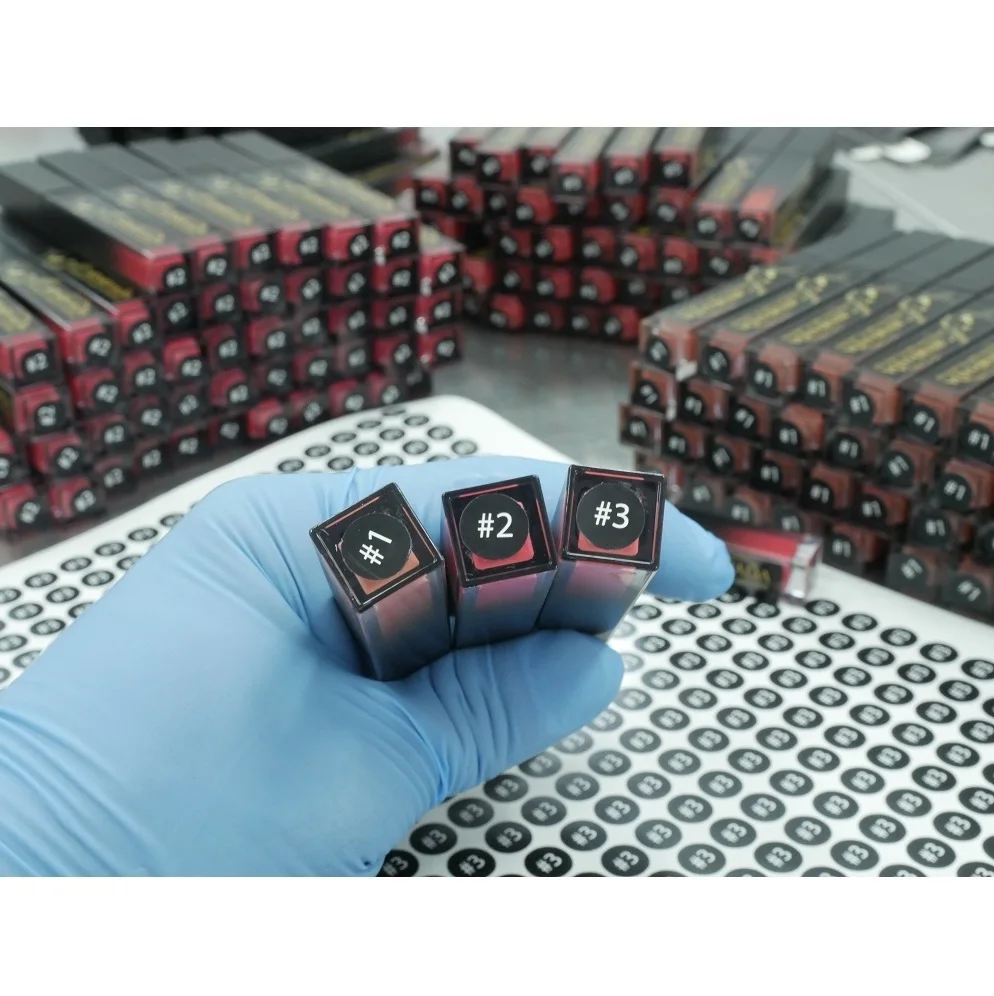 Rinrhada Matte Revolution Lipstick in Lost Cherry Long Lasting Waterproof Stay All Day Matte Lipstick No.4