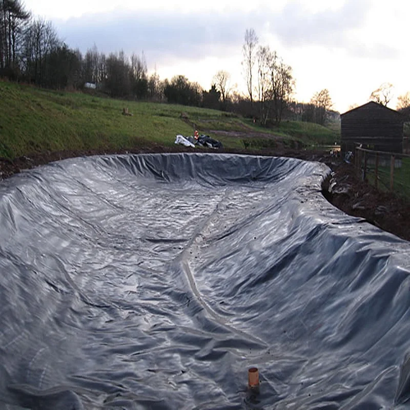 HDPE 1mm ASTM GM13 Shrimp Waterproof Geomembrane Liner Outdoor Landfill Ponds Fish Farms Industrial Design Modern LLDPE EVA