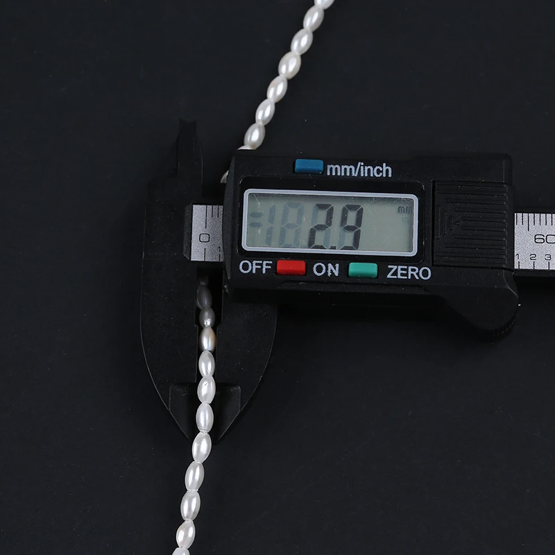 TW6A2210.jpg