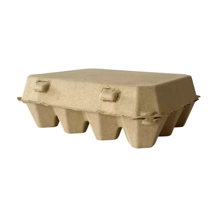 In Stock Disposable Paper Pulp 6 Holes Egg Box with Logo