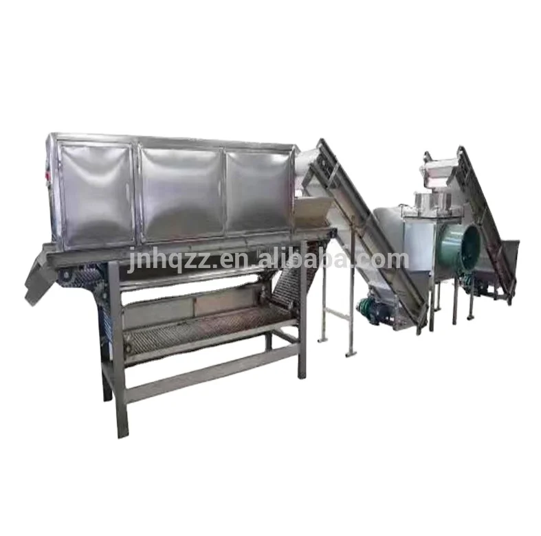 Garlic processing equipment line