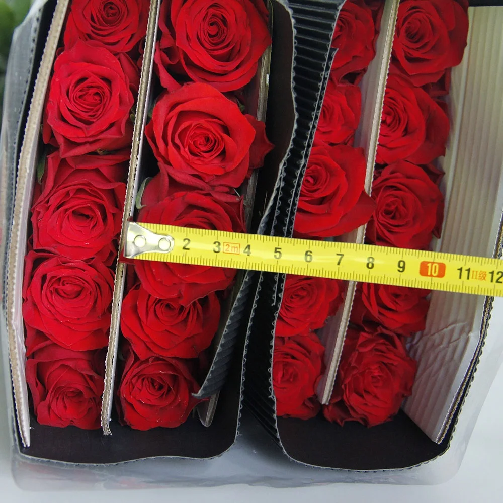 Wholesales Factory Supply Ecuador Fresh Cut Flowers Red Roses Lilies Antherium  For Home Valentine Flower Arrangement Bouquet